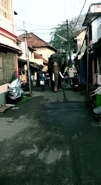 @aana_premi
