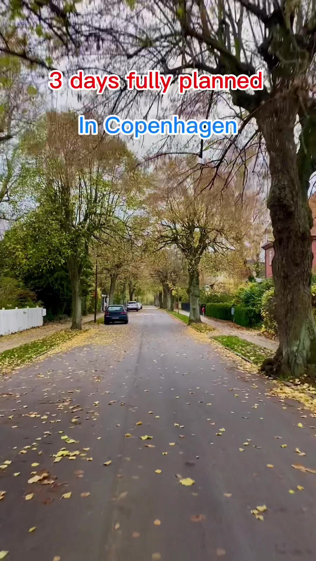 @Freja Holmbye | Copenhagen