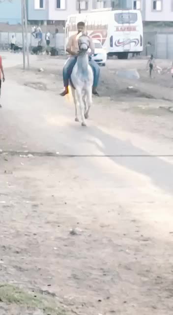 @Mehul Bharwad Satiya