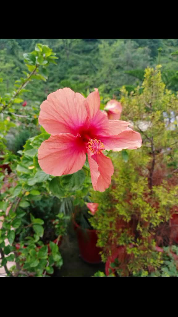 @Sheela Panwar