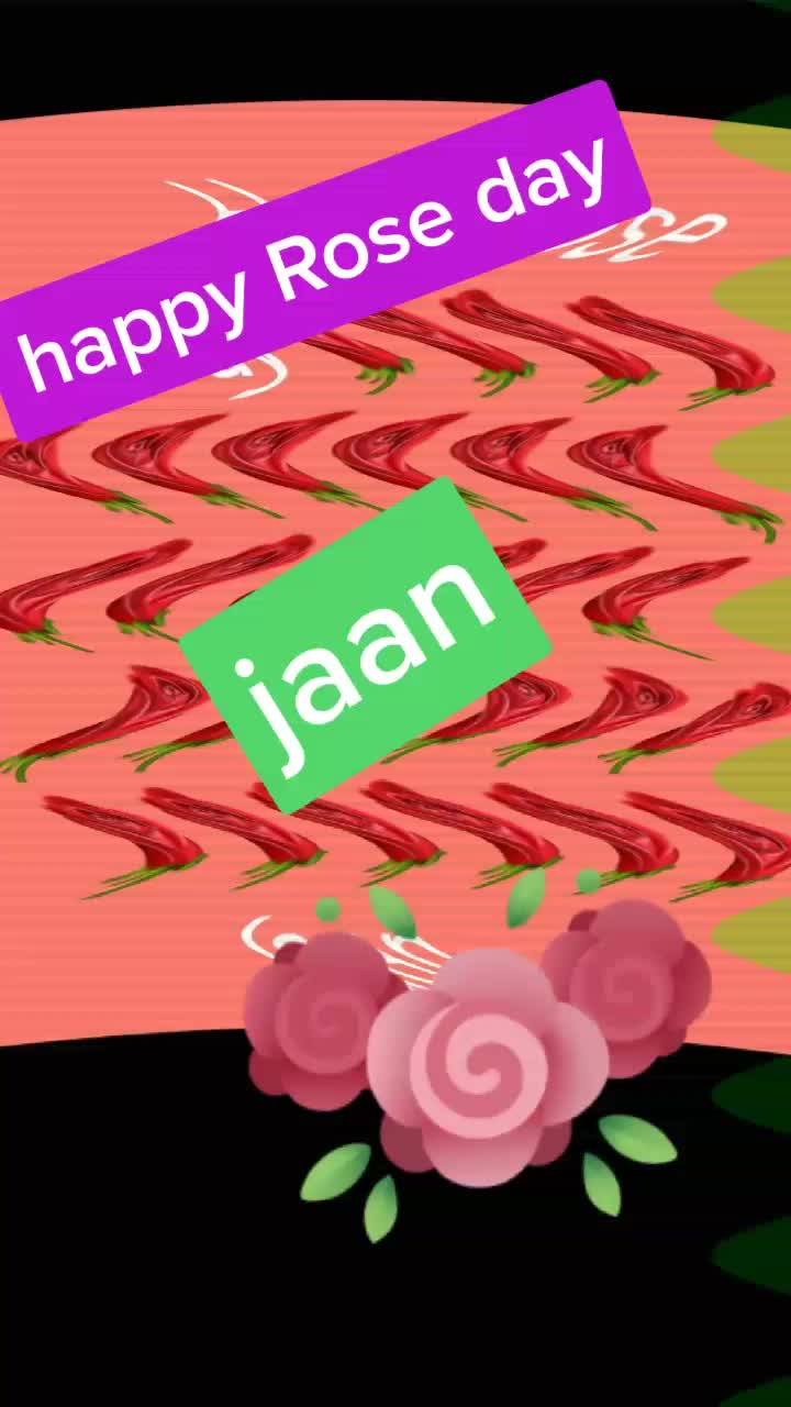 @user1682529740901