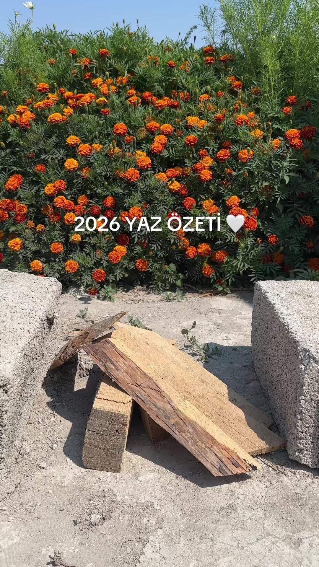 @365gunmutfak