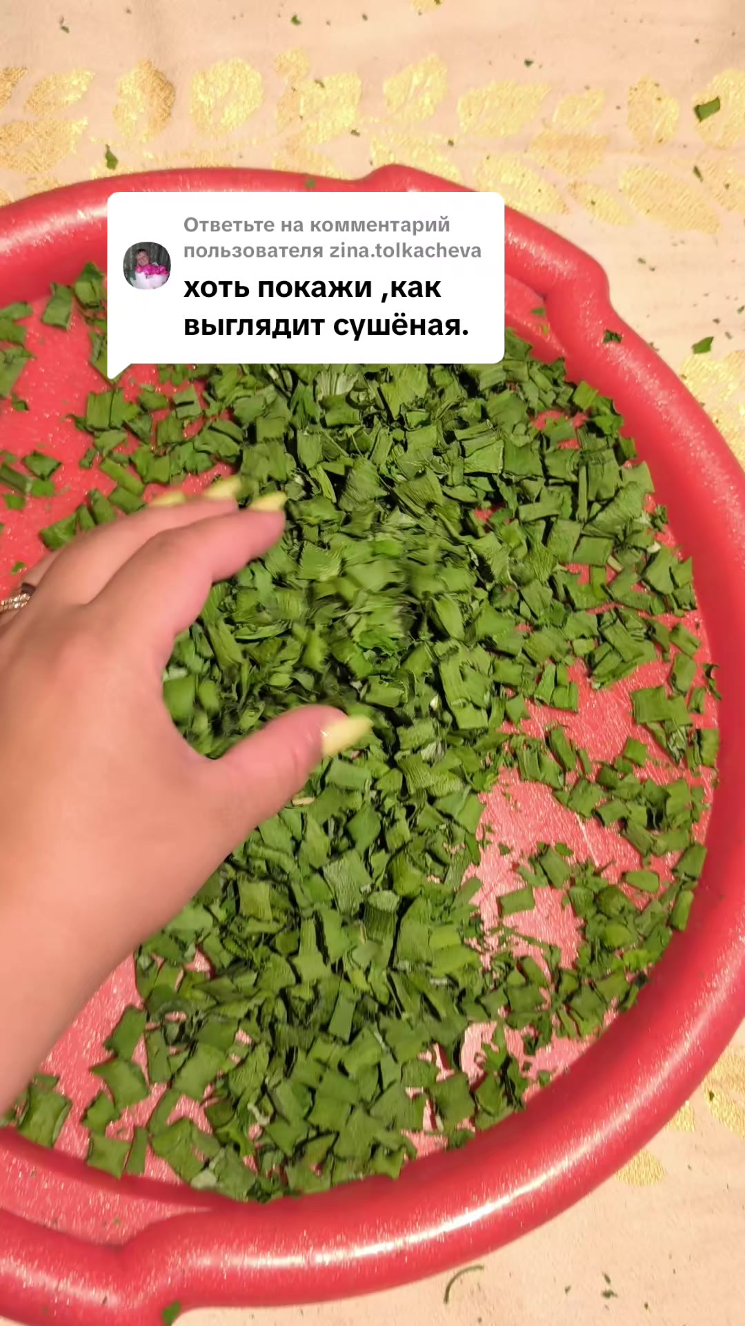 @Анастасия Буглак