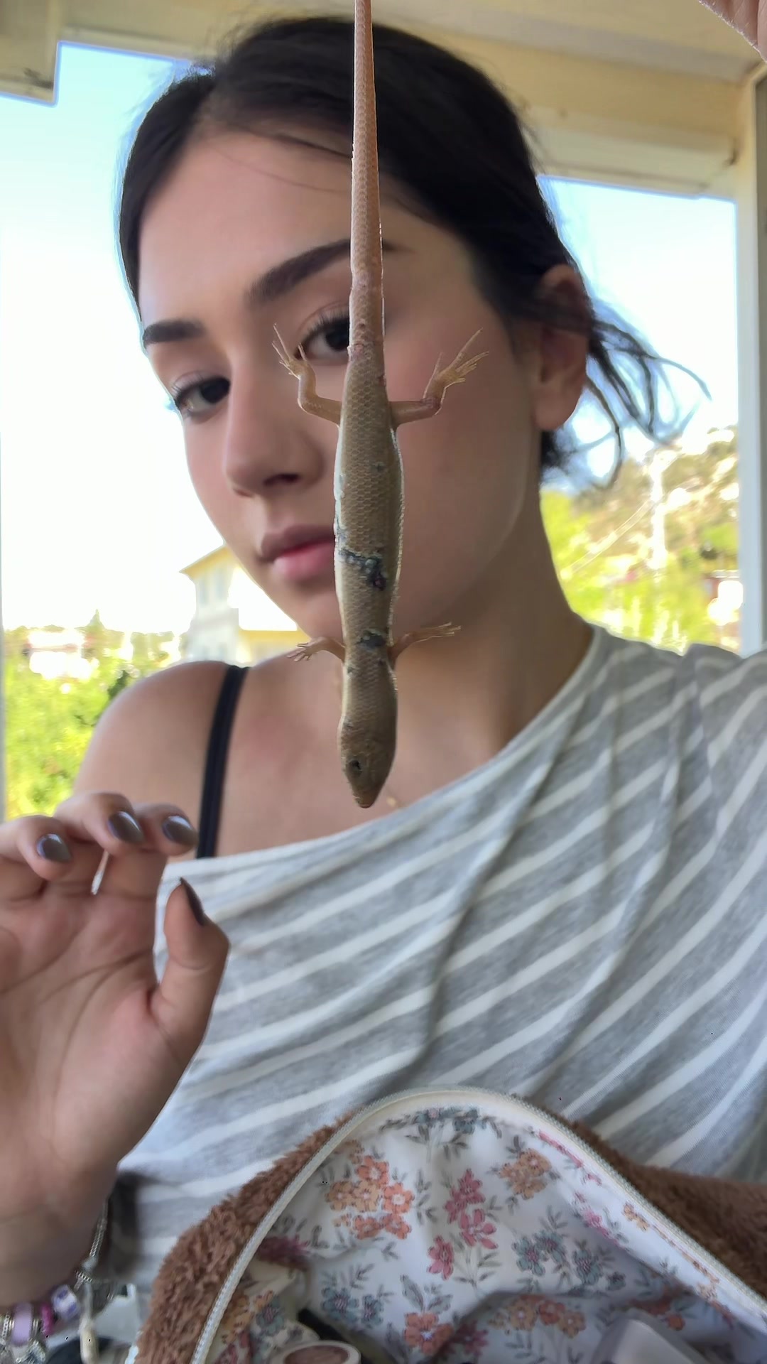 @begumerol