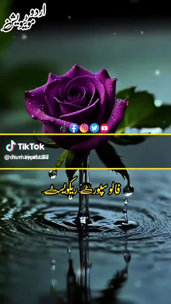 @Uzair Fazal