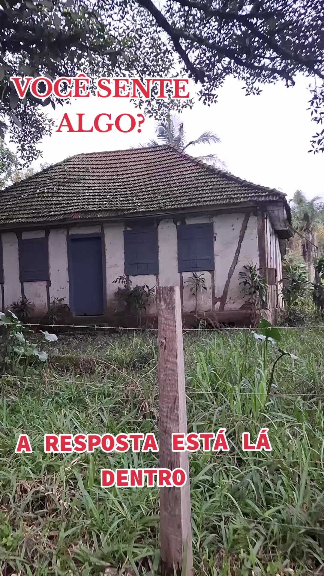 @Frequencia Sobrenatural