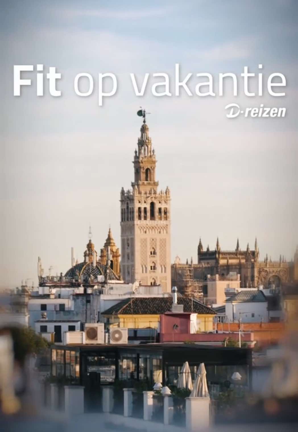 @D-reizen