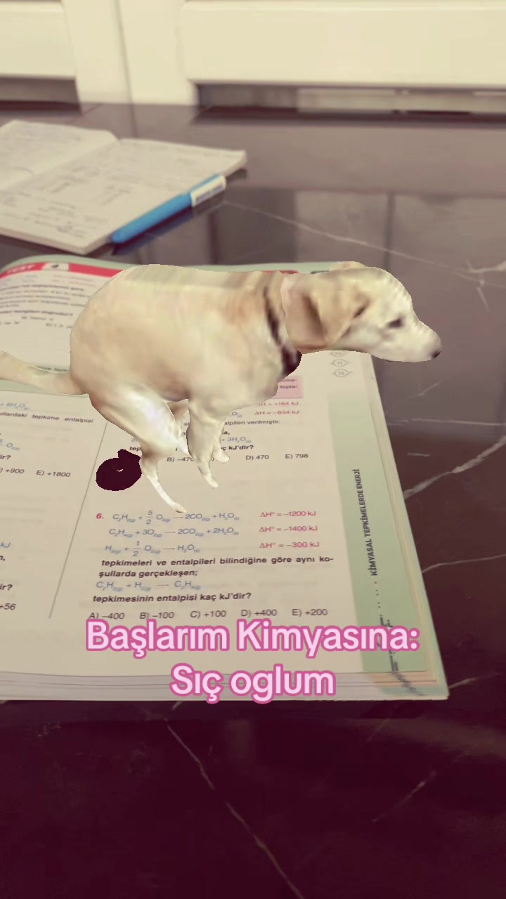 @ykszede27
