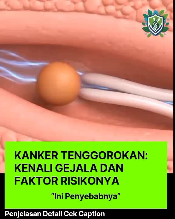 @InfoSehat.id 💚