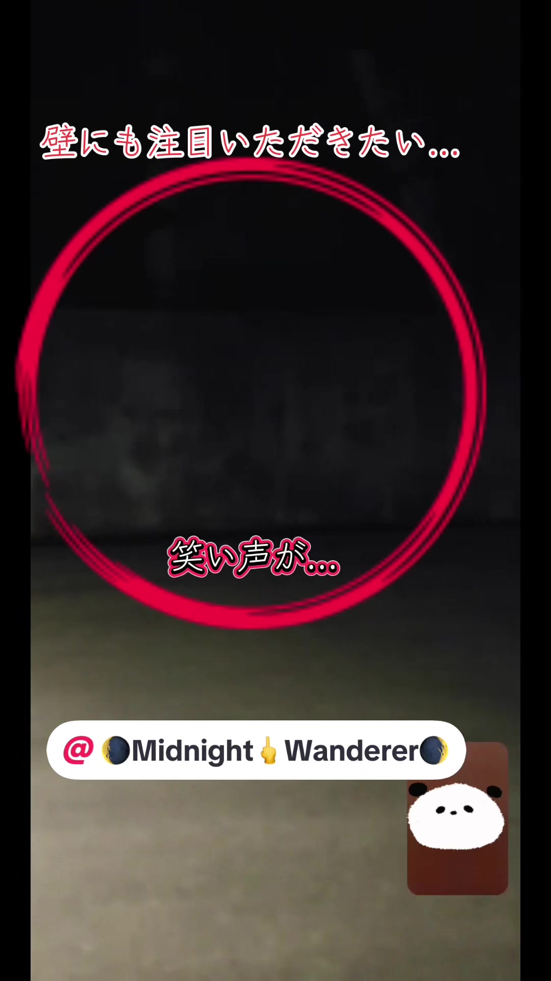 @そら。まめ。👻⛩✨🦁🏴☠️