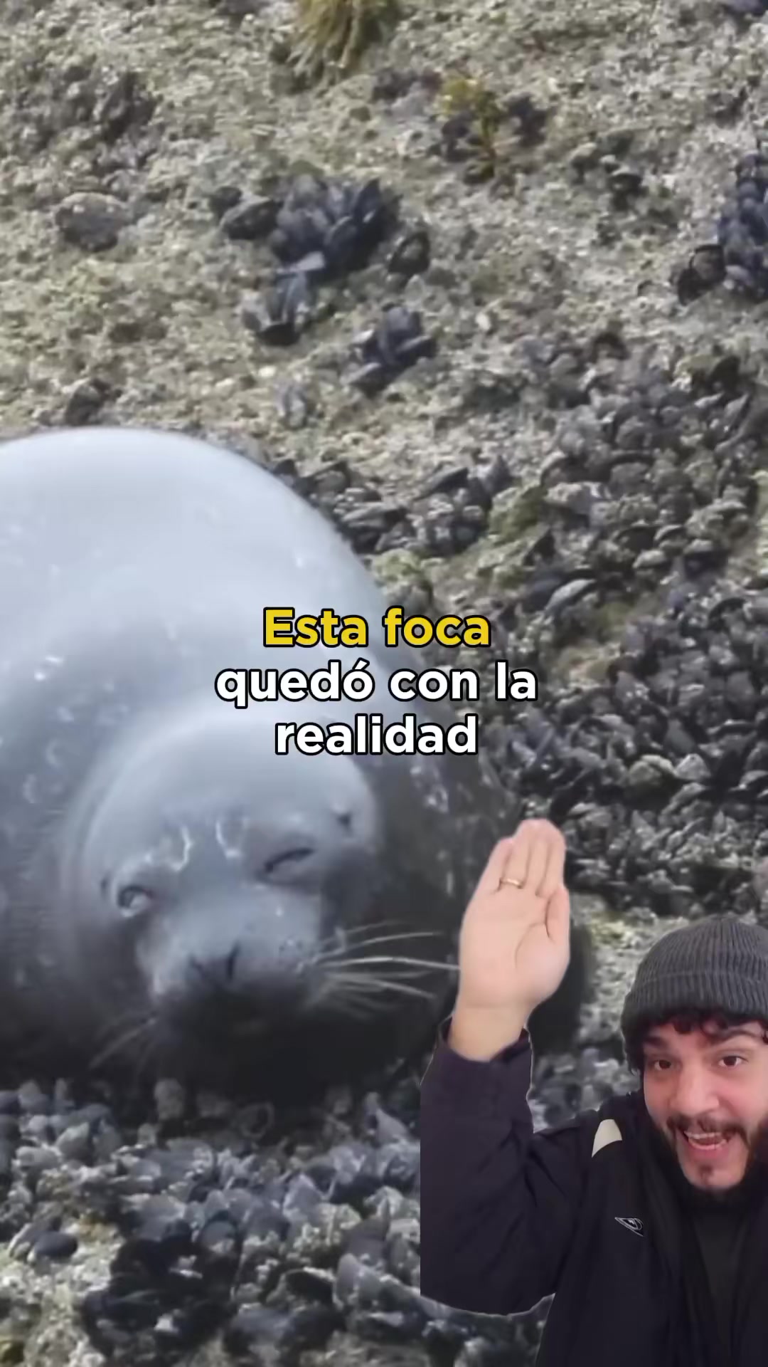 @Animaldex