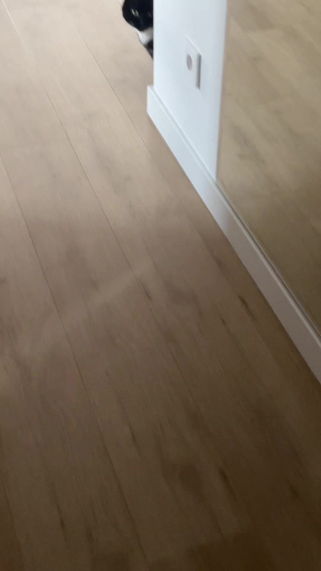 @🏎️𝓚𝓻𝓲𝓼𝓽𝓸𝓯𝓮𝓻 😸