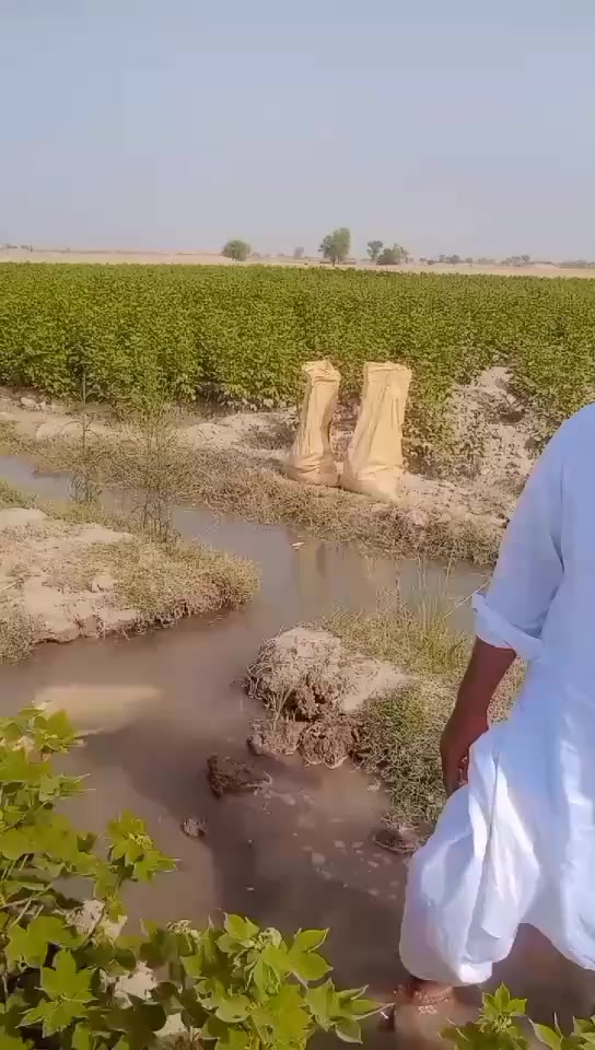 @Fayyaz Gill
