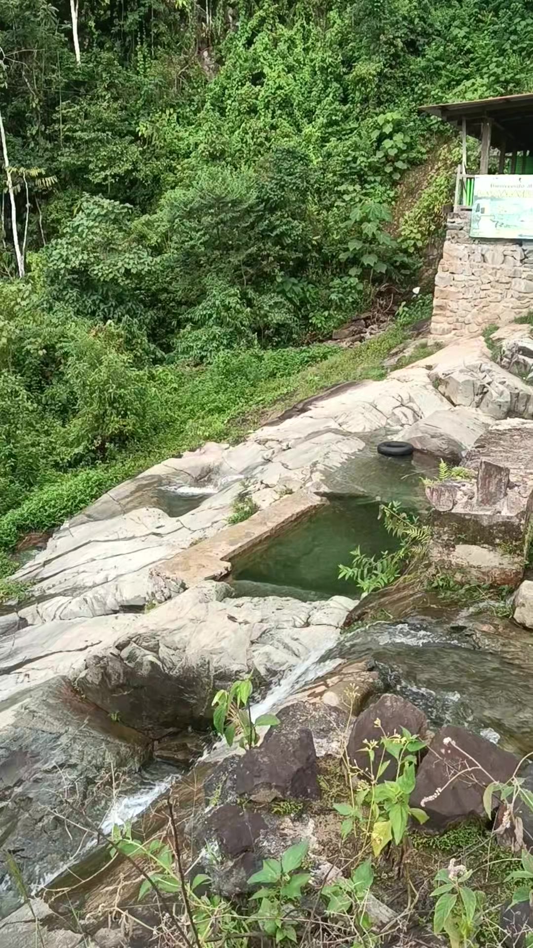 @Saúl Cárdenas
