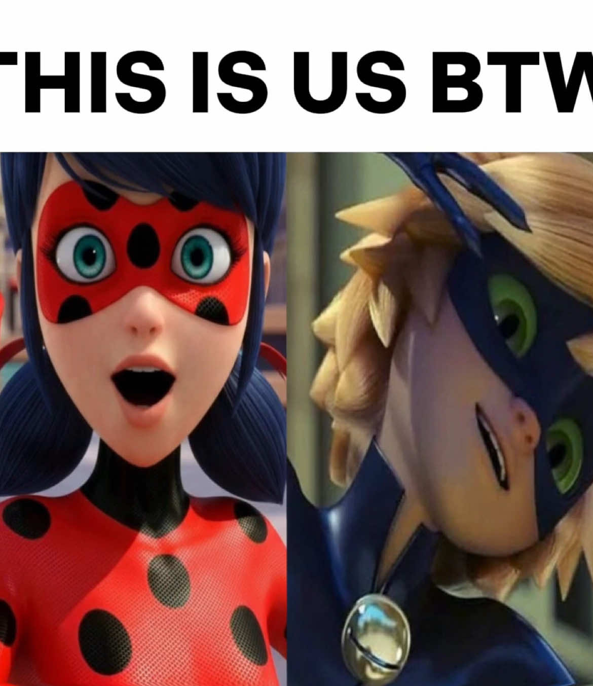 @🪽