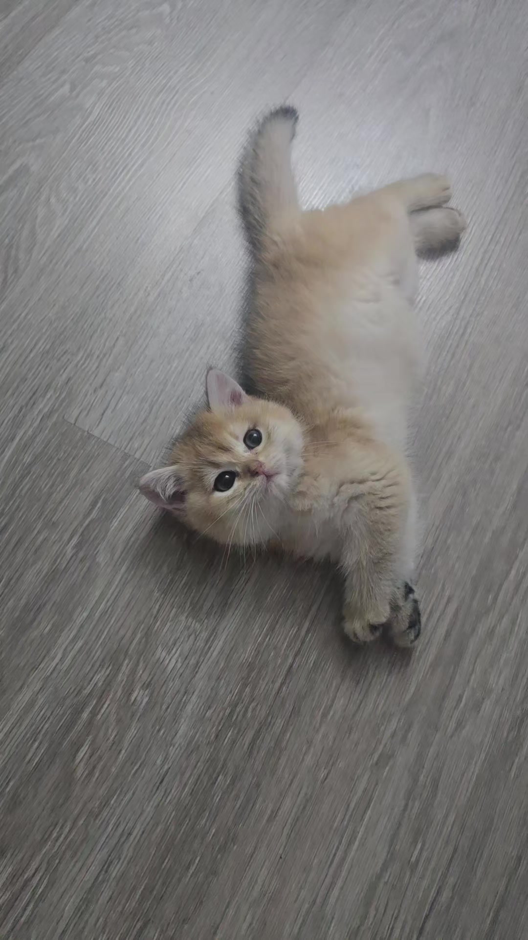 @Zoo_JASMİN🦂🥰