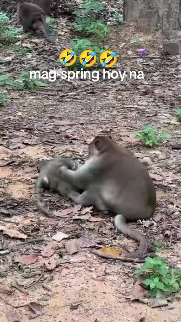 @Roberto