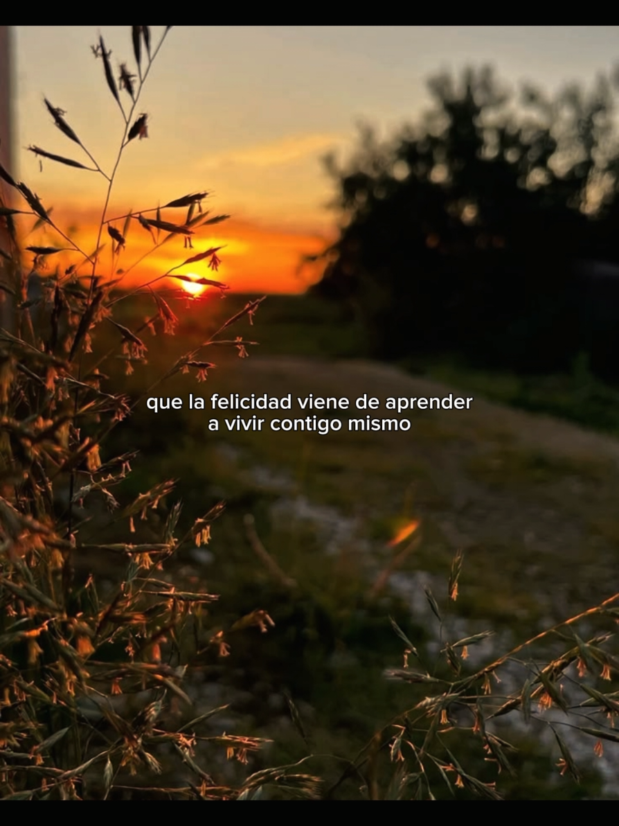 @Flores en Marte.
