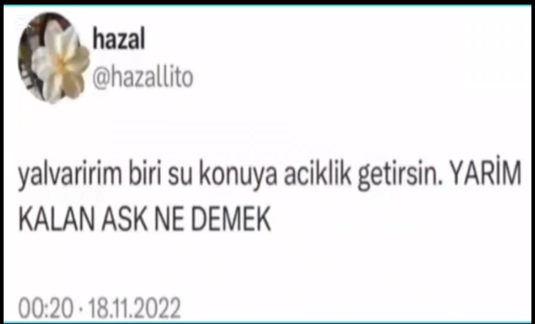@ayseee