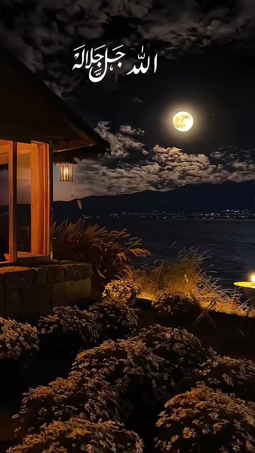 @زوبی شاہ 🥀