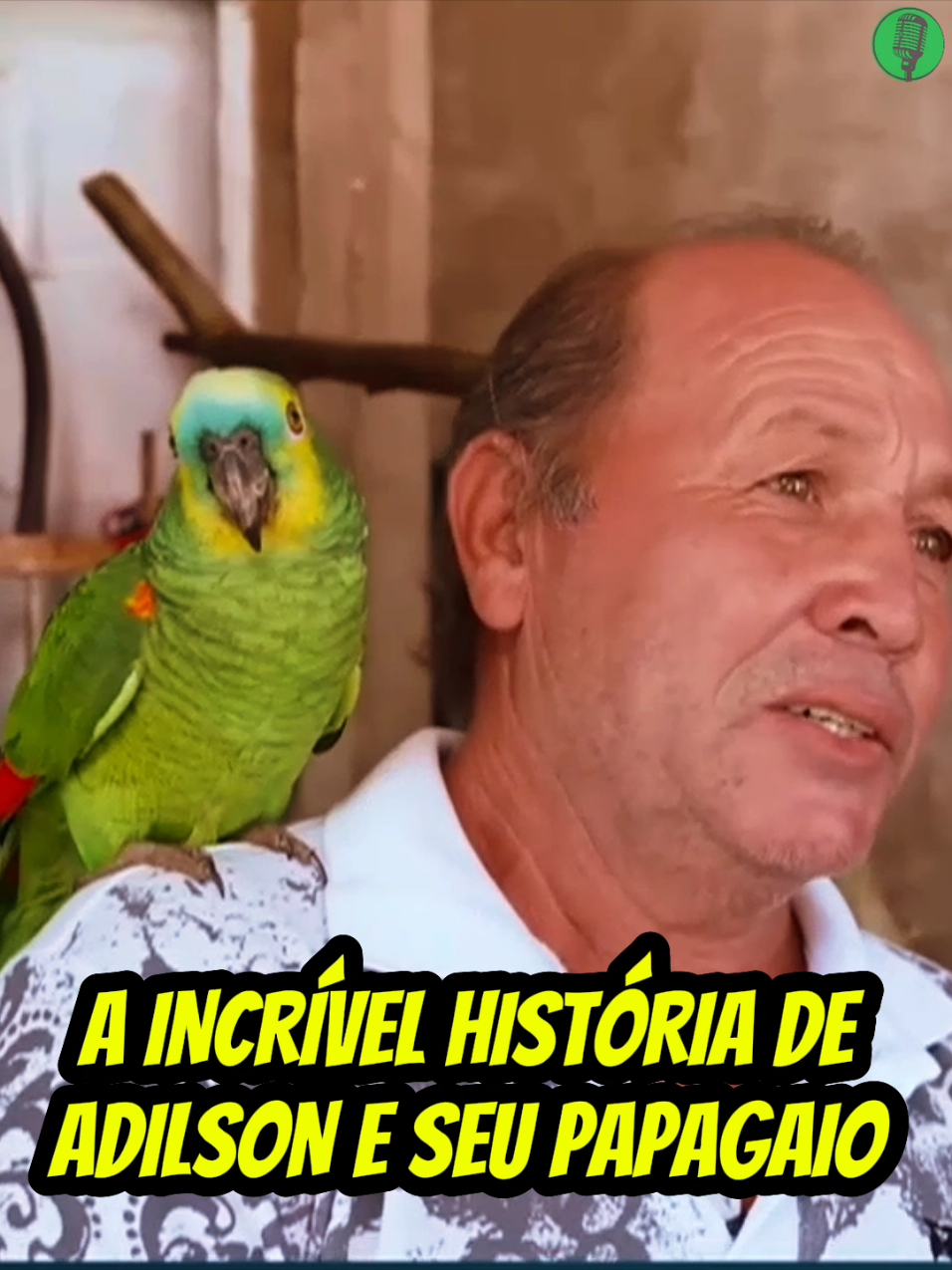@Gabriel Silva