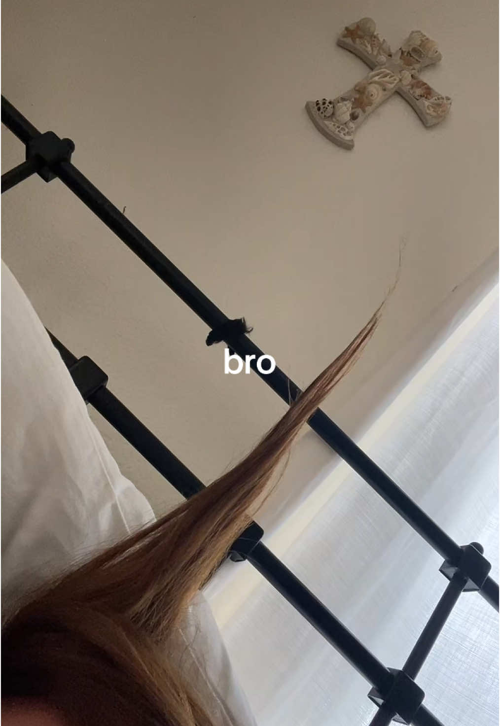@stella