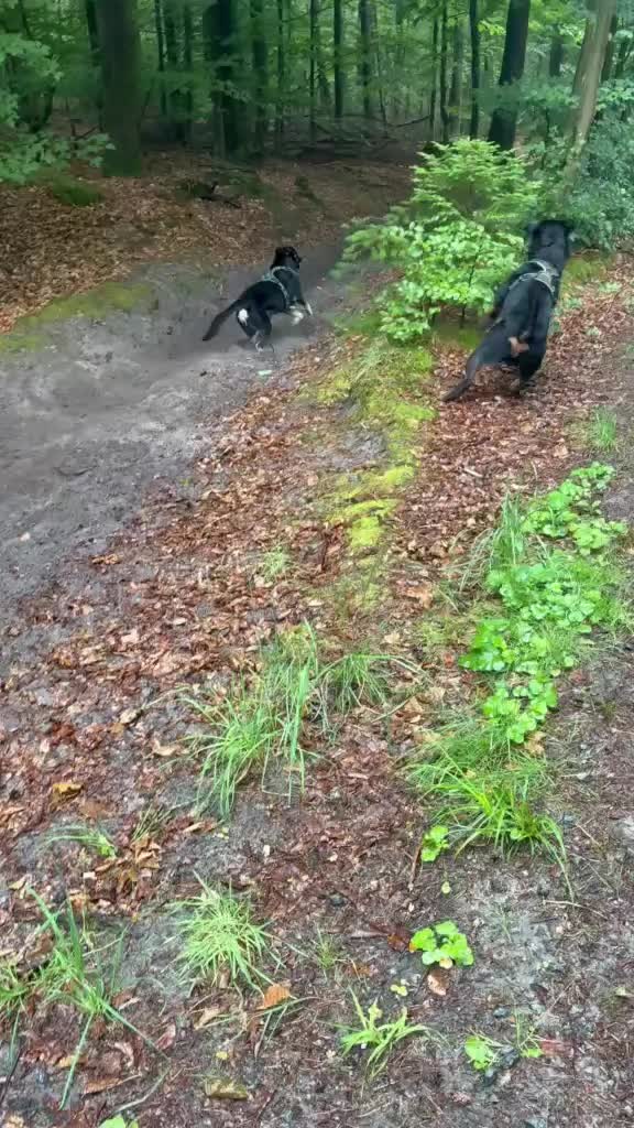 @Nicole❤️Schröder🖤Kowalski ❤️