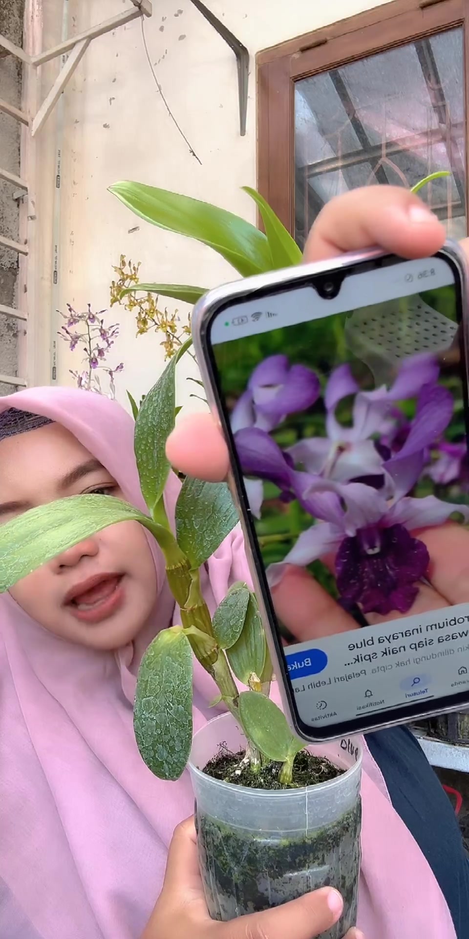 @Anggina Orchid