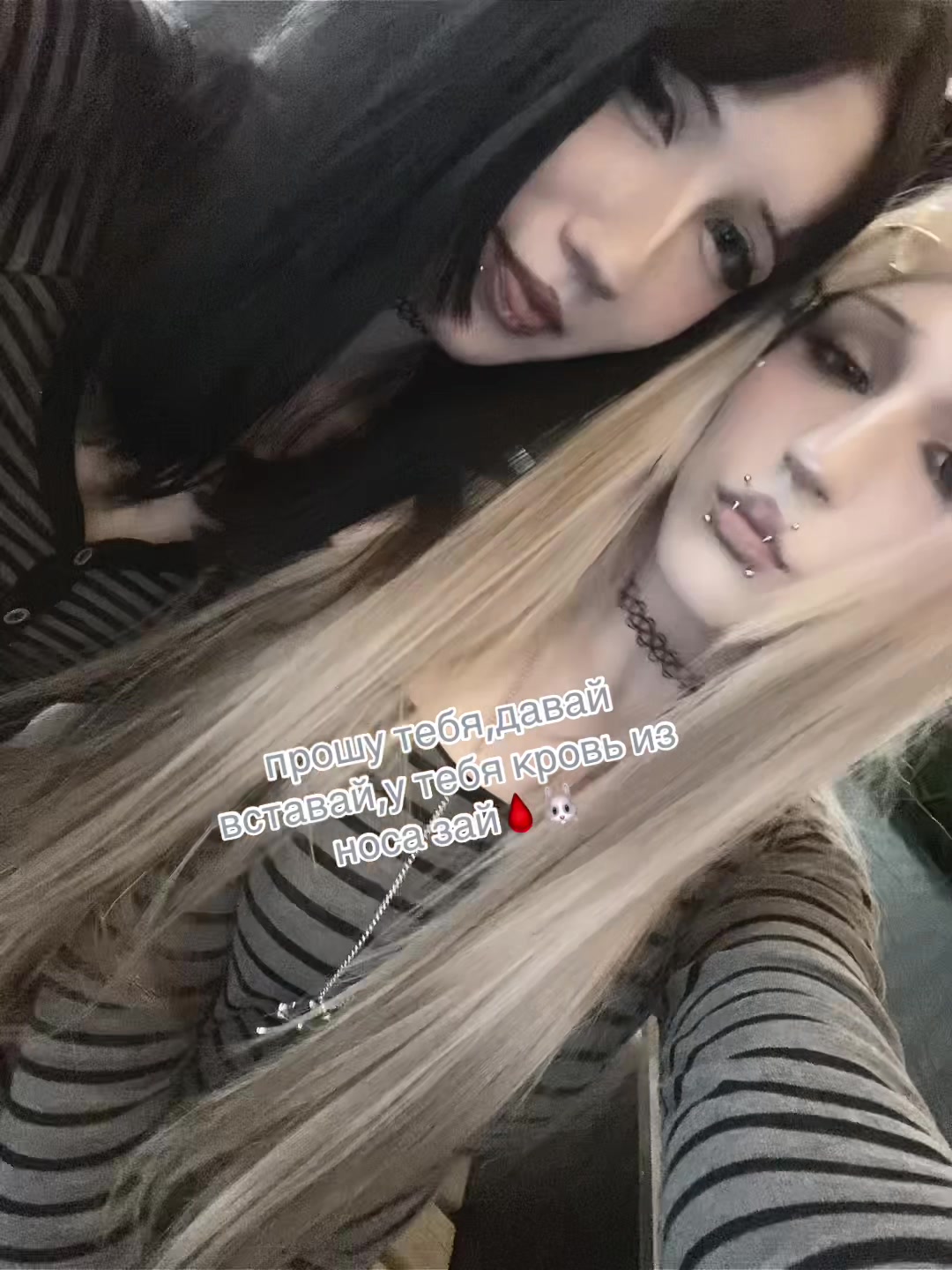@тгк:nelly hof💔