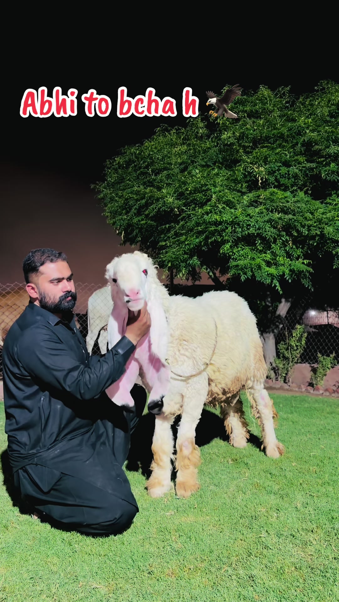 @شیخ ابوبکر ساجد