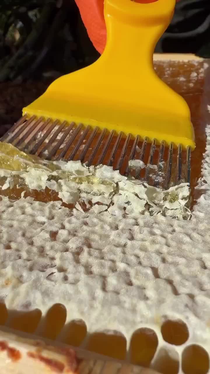 @motivational._.speech5