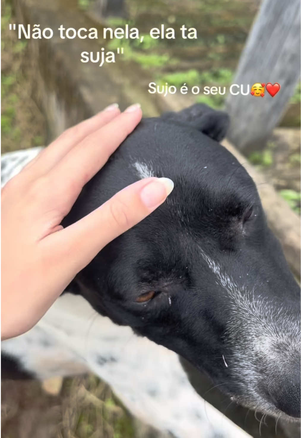 @Bibi_vasconcelos🪩🌟💗