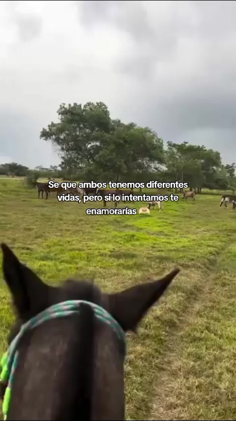 @Juan Meza