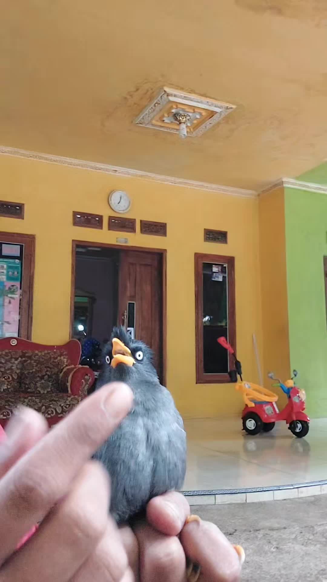@Anyŭn_Little🕊