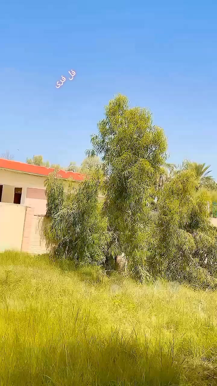 @🤏👮نصر خیل مگن 🫀🥷🏻
