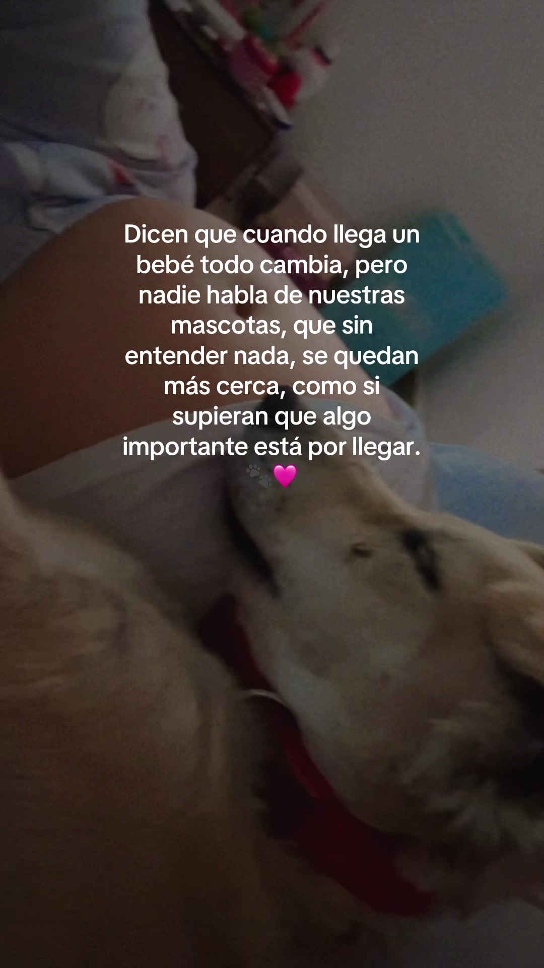 @alexa.13garcia