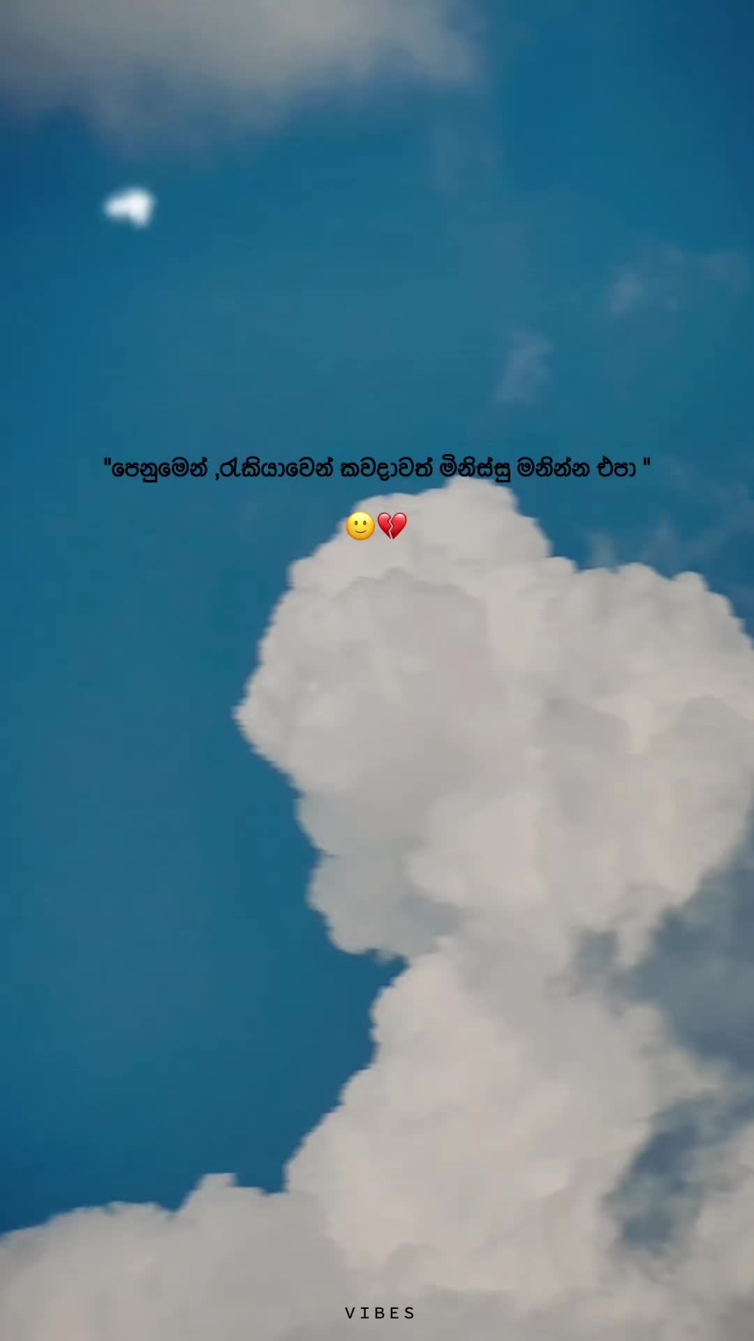 @RokY