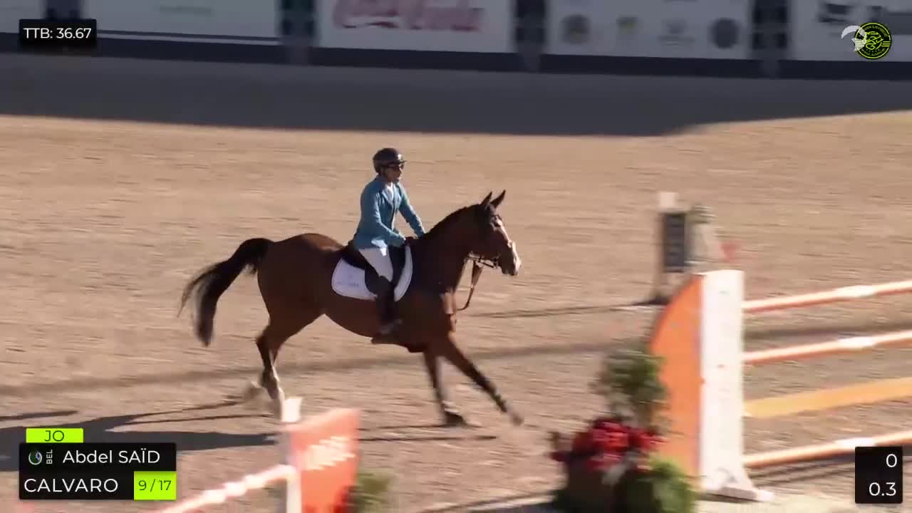 @Major League Show Jumping