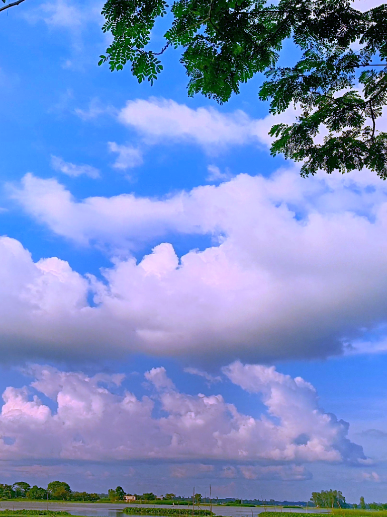 @🪺🦋বাংলার প্রকৃতি 🌾🌹