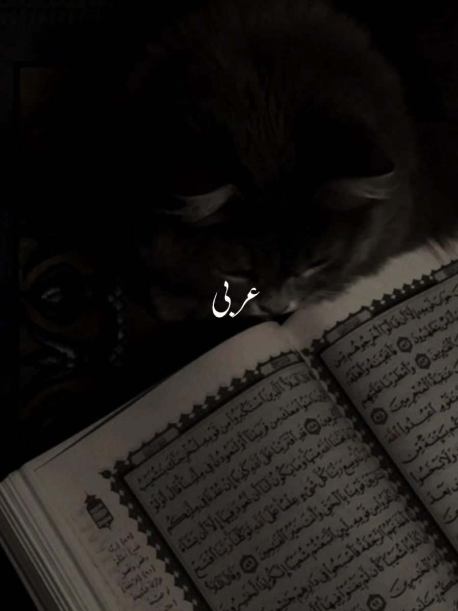 @𝐢𝐬𝐥𝐚𝐦𝐢𝐜 𝐯𝐢𝐝𝐞𝐨𝐬 ❤️