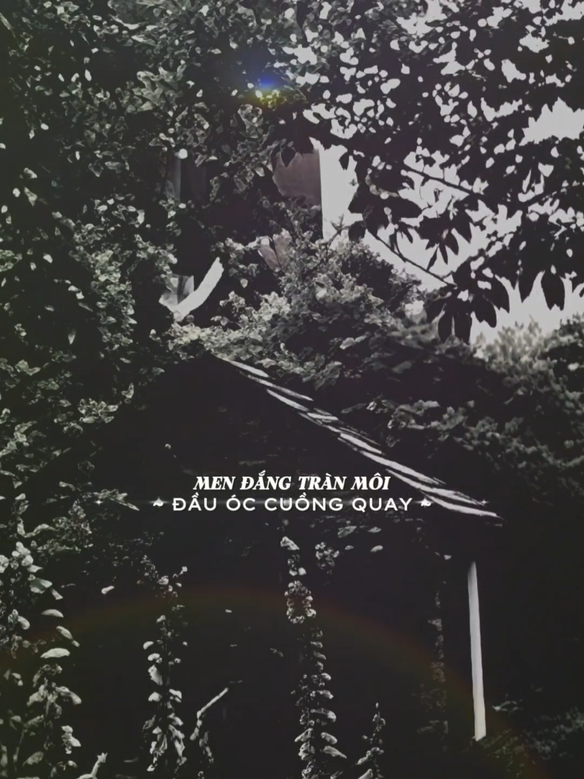 @𝐓𝐫ạ𝐦𝐌𝐮𝐬𝐢𝐜🎧