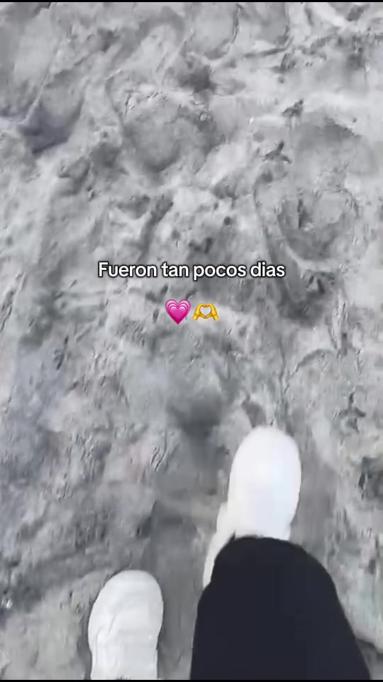 @..🎀🧸