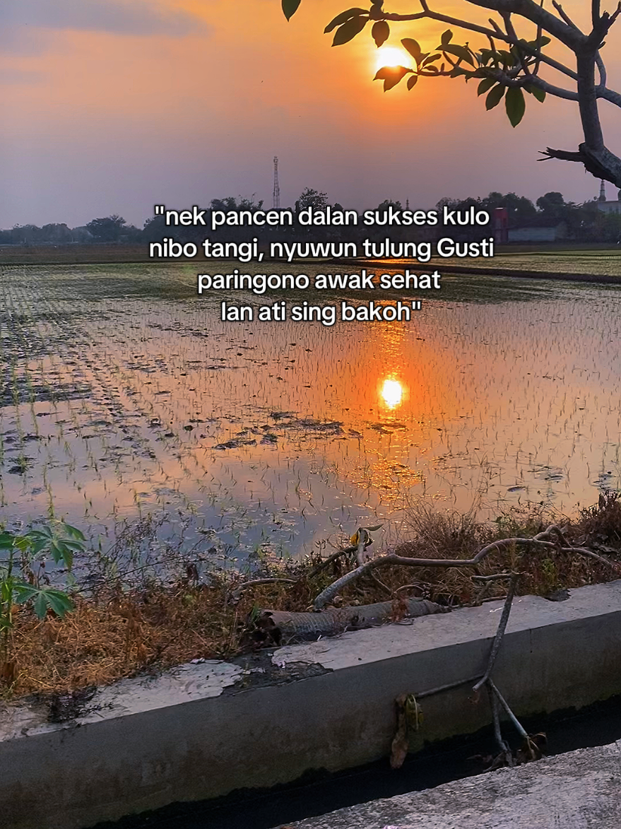 @𝙙𝙣𝙥𝙩𝙧𝙬𝙘𝙠𝙨𝙣