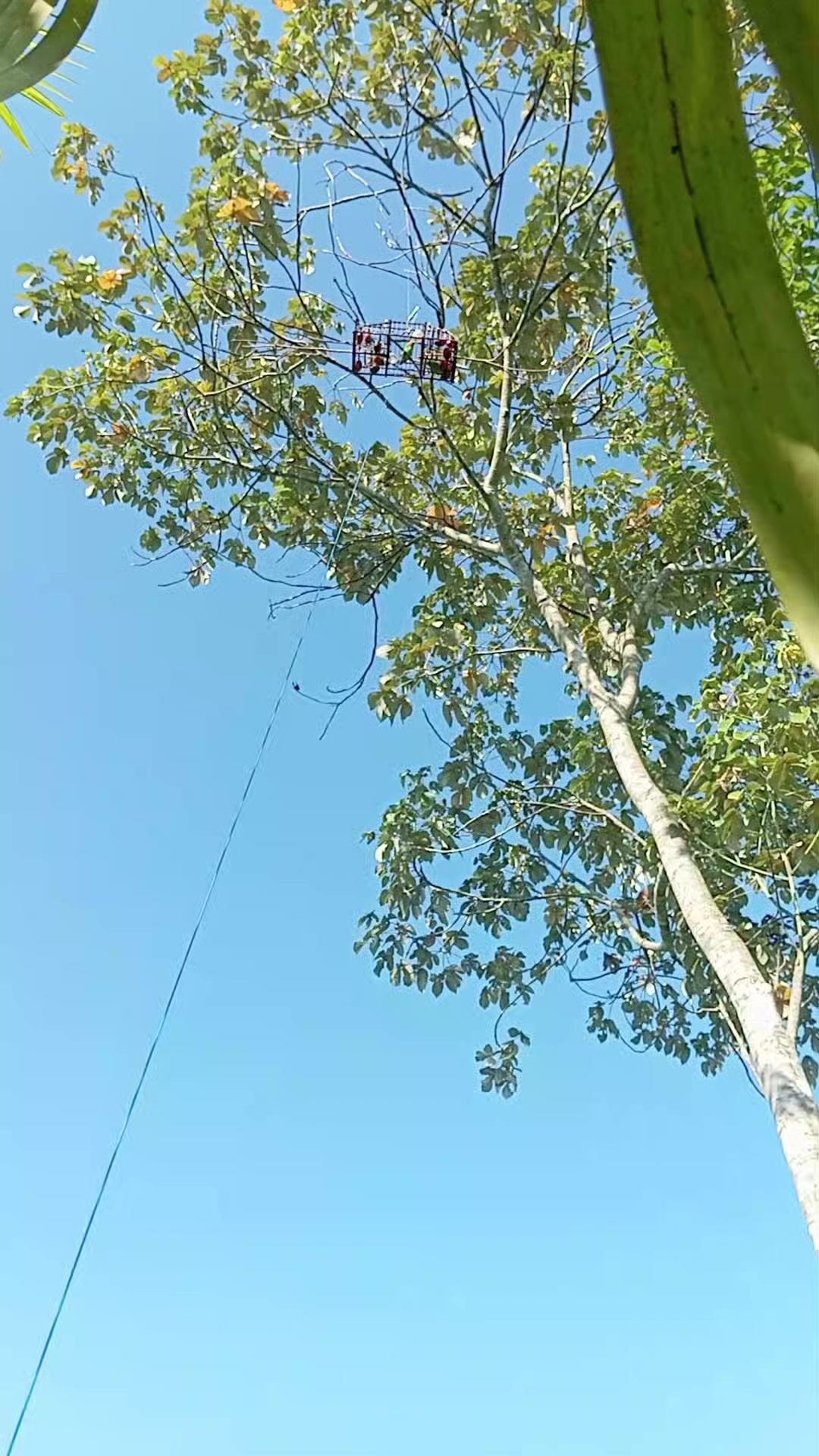 @Srindit kaltara 🦜
