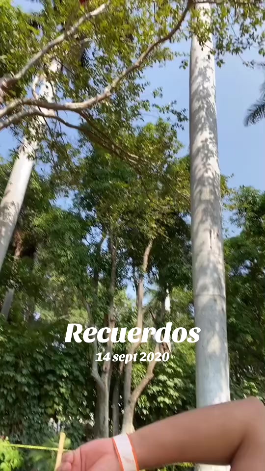 @dieguitiktok8911