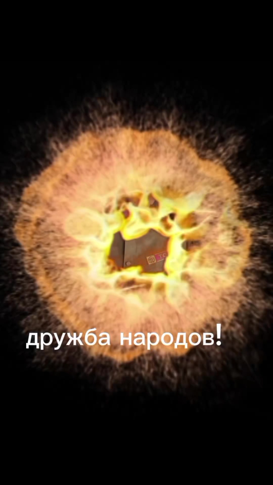 @ZombiKraft
