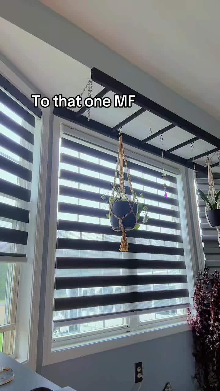 @rootednotrattled