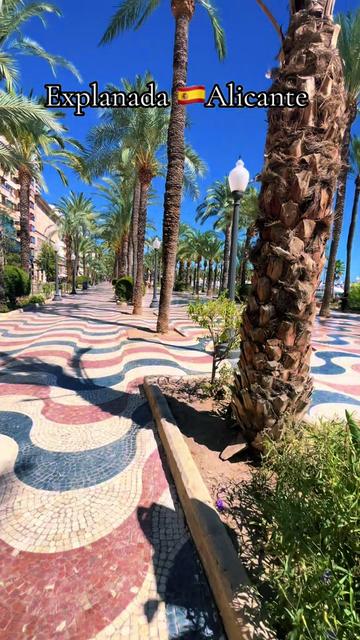 @Alicante el momento🇪🇸🇩🇿