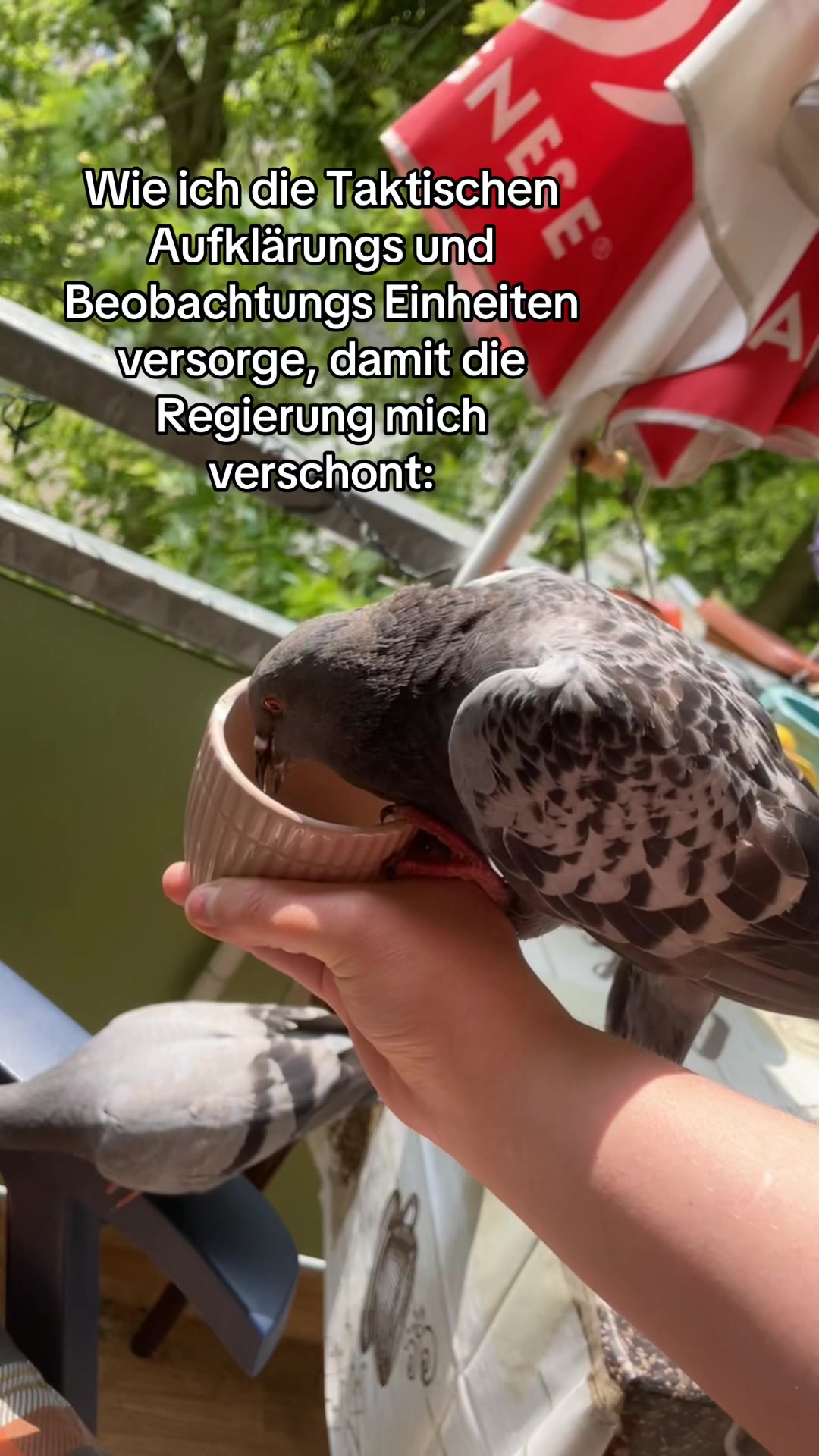 @ℭ𝔢𝔠𝔦𝔢𝔩 🇩🇪