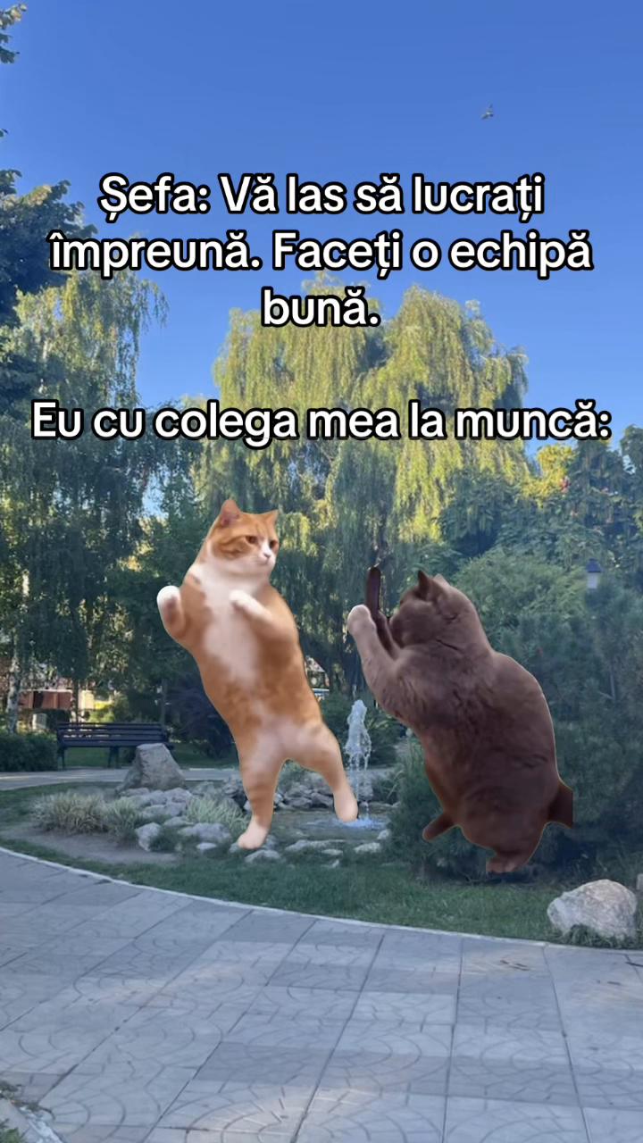 @𝒥𝒶𝓃𝒸𝒶&deg;
